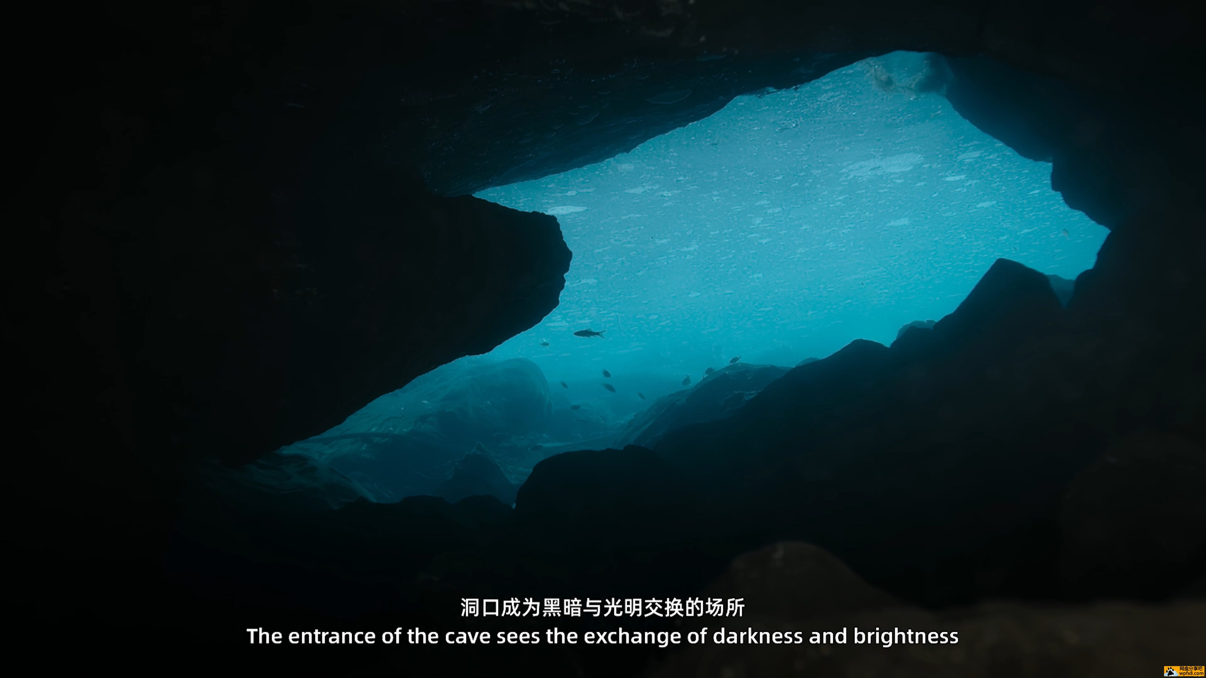 水下中国.第1集 黑暗洞穴.mp4_20240108_114131.213.jpg