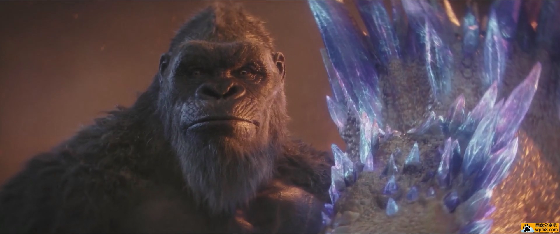 Godzilla.X.Kong.The.New.Empire.2024.1080p.WEBRip.x264.mp4_014626.128.jpg